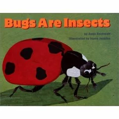 more bugs more bugs