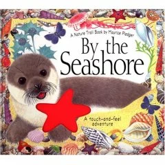 seashore seashore